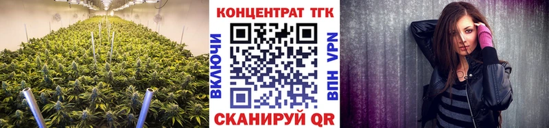 цены наркотик  Выборг  ТГК THC oil 